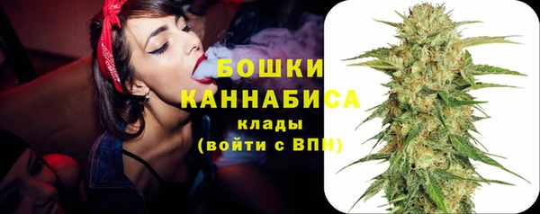 ГАЛЛЮЦИНОГЕННЫЕ ГРИБЫ Волосово