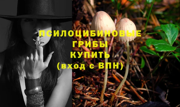 твердый Володарск