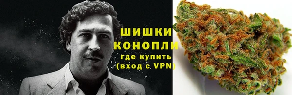 твердый Володарск
