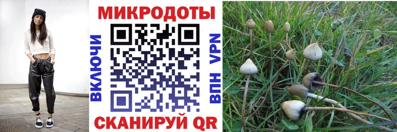 блэк спрут вход  где продают наркотики  Волжский  Галлюциногенные грибы прущие грибы 